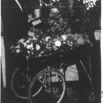Robert Redmond of 9 West Maple Street, the White House's head florist and gardener, 1948