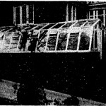 Greenhouse at 100 West Rosemont Avenue, 1954